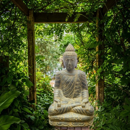 SEATED BUDDHA KAPITTAKA 80 CM FRONT_500x500